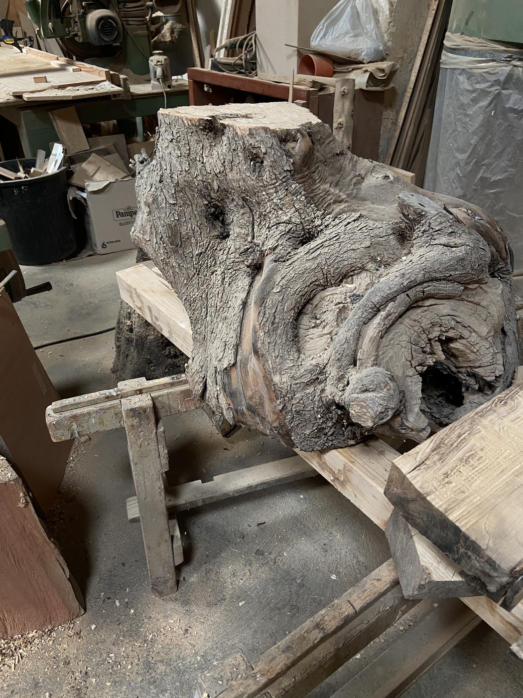 Wood · Carlo Nicoletti, Parabita